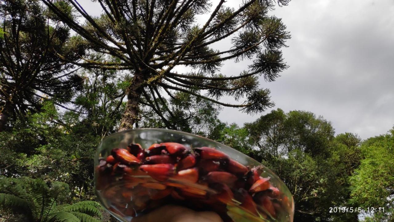 Casa Goldoni Gramado 4 Quartos 外观 照片